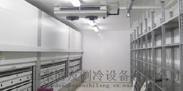 优质速冻冷库报价——山东博友